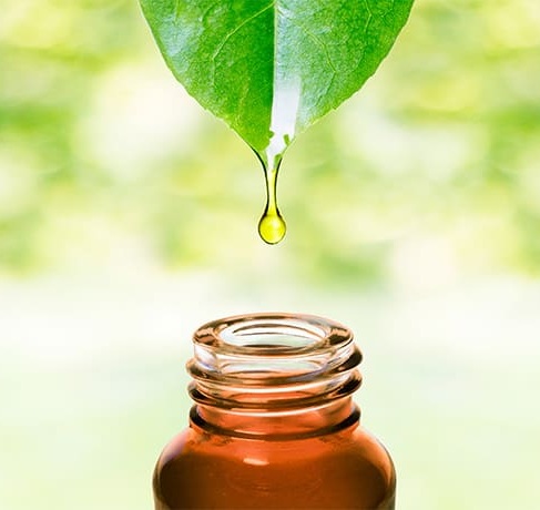 Personalised Homeopathic Consultation